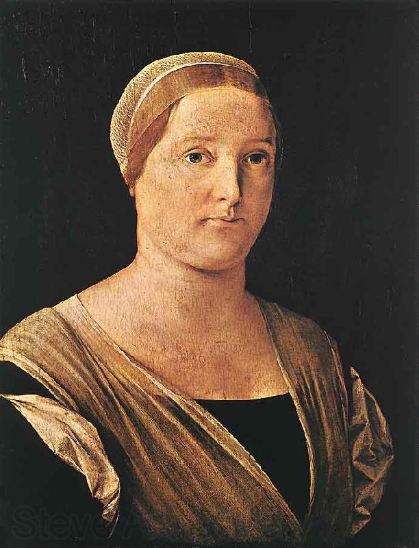 Lorenzo Lotto Portrait of a Woman